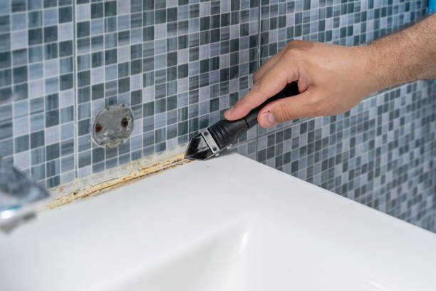 Best Black Mold Removal  in Bridge City, LA