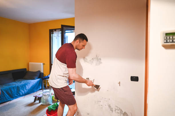 Best Residential Mold Removal  in Bridge City, LA